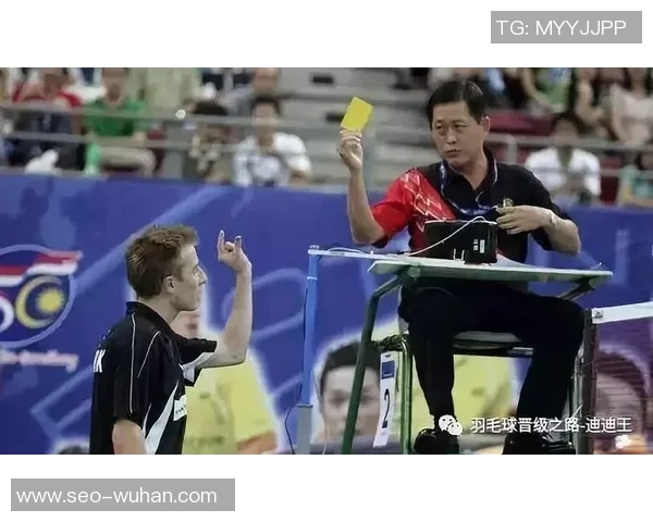 上海羽毛球队实力分析与未来发展展望探讨